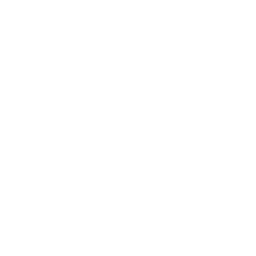 insights
